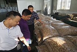 陳國棟總經(jīng)理帶隊考察糧油平臺標(biāo)桿企業(yè)